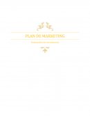 Tema- Plan de marketing Cama Tiende Fácil.