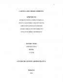 CARTILLA DEL MEDIO AMBIENTE