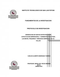 Protocolo de investigacion PyMes.. Página 1