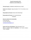 Tema- Proyecto socio educativo