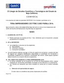 Tema -Activo, pasivo y capital.