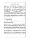 Ficha descriptiva del grupo