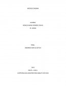 DEMANDA MAS ELASTICA.