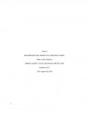 FORMULACION Y EVALUACION DE PROY..