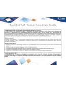 Momento Inicial Paso 0 – Presaberes y Nociones de Lógica Matemática