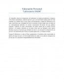 Valoración personal “Laboratorio UNAM”
