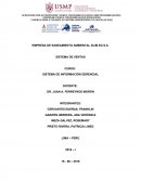EMPRESA DE SANEAMIENTO AMBIENTAL SLIM SG S.A. SISTEMA DE VENTAS