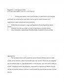 PUNTOS A DESARROLLAR EN LA ACTIVIDAD