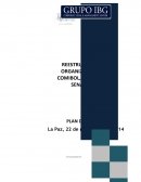 REESTRUCTURACIÓN ORGANIZATIVA PARA COMIBOL, SERGEOMIN Y SENARECOM PLAN DE TRABAJO