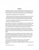 Telefonia en Telecomunicaciones