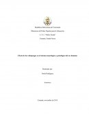 Efecto de los videojuegos en el sistema neurológico y psicológico del ser humano