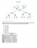 Practica TOPOLOGÍA