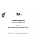 Bioquímica del Nitrógeno y Regulación Genética.