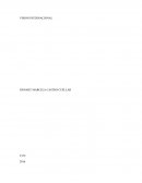 VISION INTERNACIONAL -COTIZACIONES