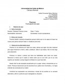 Formulacion de caso precious