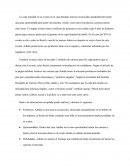 Analisis de caso Adidas