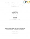 PROPAGACIÓN Y MICROPROPAGACIÓN DE PLANTAS.