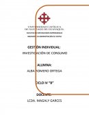 GESTIÓN INDIVIDUAL INVESTIGACION DE CONSUMO.