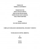 COMPLEJO TECNOLOGICO AGROINDUSTRIAL, PECUARIO Y TURISTICO TECNOLOGIA EN CONTROL AMBIENTAL