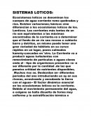 Sistemas loticos