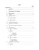 ING ESTRUCTURAL