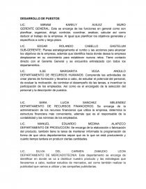 DESARROLLO DE PUESTOS. Página 1