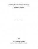 Ensayo de emprendimiento.