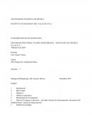 SEGURIDAD INDUSTRIAL EN MINA SUBTERRANEA “DON DAVID GOL MEXICO S.A. De C.V.”