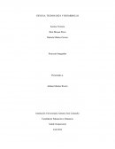 Ensayo La Salud Ocupacional.