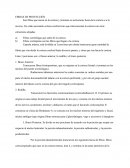 FIBRAS DE PROYECCIÓN