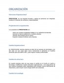 Administracion. Organización. Estructura organizacional
