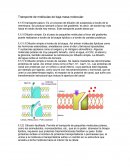 TRANSPORTE DE MOLÉCULAS