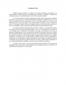 Ensayo "El Abandono a las personas de la tercera edad"