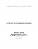 Ensayo sobre el Comportamiento del Consumidor