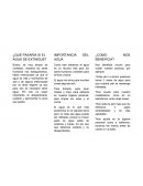 ¿Qué pasaría si el agua se extingue?