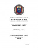 Si hay que filosofar, es preciso filosofar, ¿por qué?