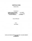 El consumo de hortalizas en la dieta diaria tiene un efecto muy beneficioso para la salud
