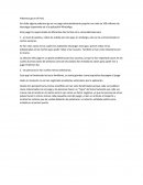 Pokemon go en el Perú