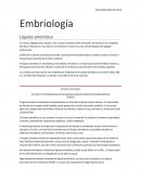 Embriología Líquido amniótico