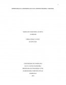 IMPORTANCIA DE LA INGENIERIA CIVIL EN EL CONTEXTO REGIONAL Y NACIONAL