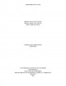 DEPARTAMENTO DE INGENIERIA QUIMICA Y AMBIENTAL