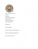 PRACTICA: “CAIDA LIBRE” METODO MATEMATICO