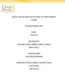 Actividad Modelo de producción de piña