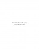 Sistemas operativos Linux orientados a usuarios. Fundamentos de sistemas operativos.