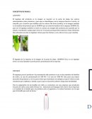 CONCEPTOS DE MARCA LOGOTIPO