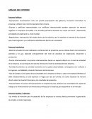 Analisis Empresa.