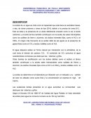 Acidez alcalinidad y dureza.