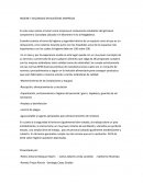 Ensayo igiene y seguridad.