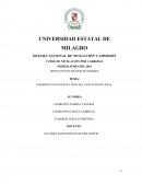 PADIMENTO ECOLOGICO A BASE DE LLANTAS RECIGLADAS