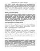 DERECHOS DE LOS PUEBLOS INDIGENAS.